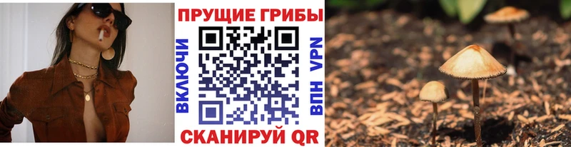 Псилоцибиновые грибы Psilocybine cubensis Электроугли