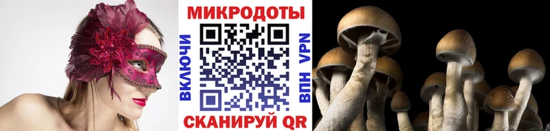 Галлюциногенные грибы Cubensis Электроугли